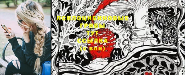 бошки Богданович